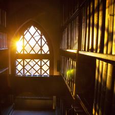 Sunlit window in library stacks