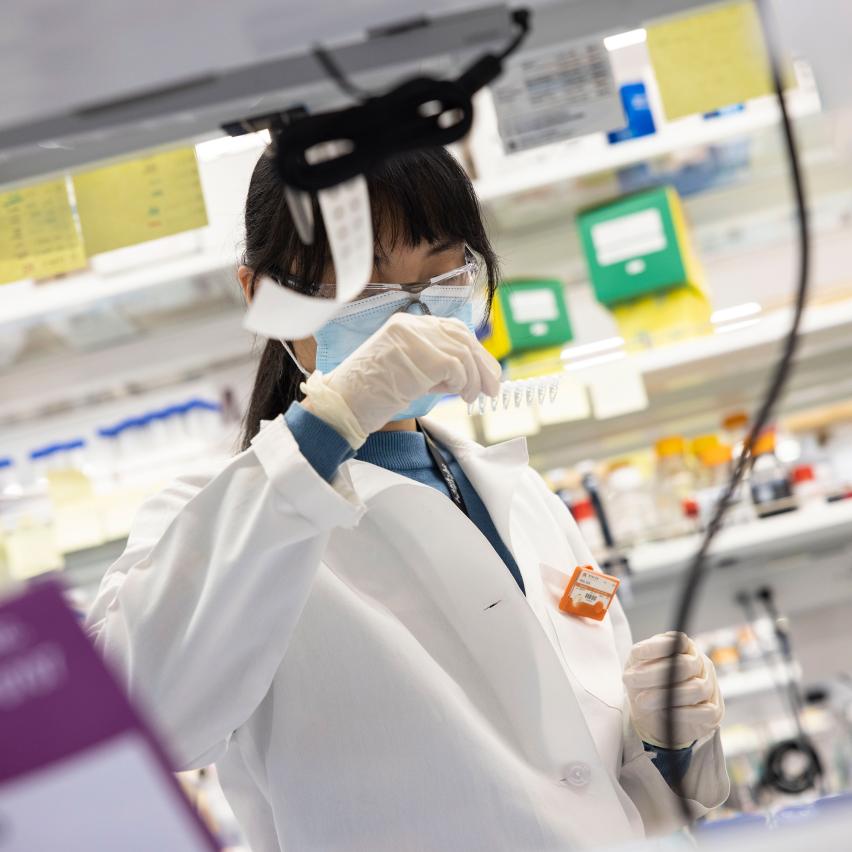 Student working in a laboratory