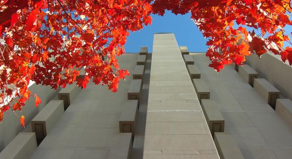 View of the School of Public Health through autumnal orange leaves