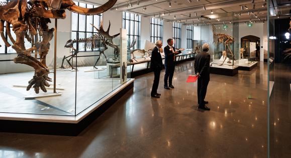 Gallery in the newly reopened Yale Peabody Museum